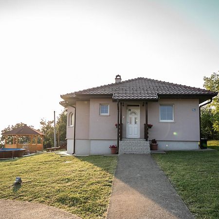 Zlatni Prag - Kraljevo Villa Bagian luar foto